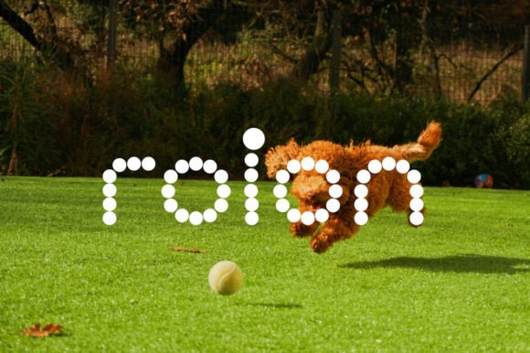 Roinert: The Display Font That Turns Campaigns into Colorful Stories