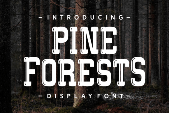Why Pine Forests Belongs in Your Next Brand Project